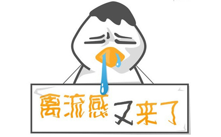 春季温暖潮湿，注意预防禽流感