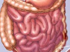 常见的大肠癌症状有哪些？