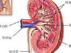 引发肾癌的因素有哪些？