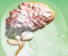 引发脑癌的病因有哪些？