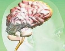 脑癌会有哪些症状？