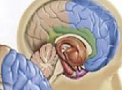 诱发脑癌的病因有哪些？