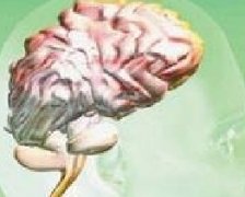 MRI诊断脑癌有哪些特点？