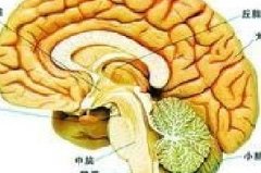 脑癌的治疗方法有哪些？