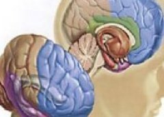 哪些是引发脑癌的因素？