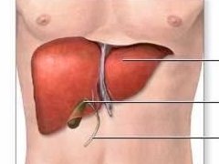 肝癌的常见症状有哪些？