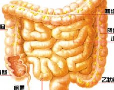 关于结肠癌的症状