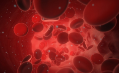 【肿瘤与血液病中心】血液病频发，危险诱因就在我们身边！