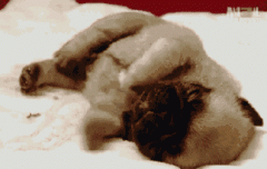 出现“鬼压床”怎么“解除封印”？科学解释在这里