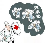 登革热来势汹汹，提醒老、幼、病、胖、孕人群做好防护！
