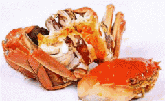 秋风起，螃蟹肥！宝宝可以吃螃蟹吗？