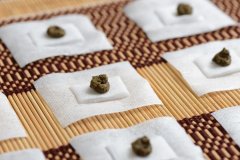 重磅通知 | 夏病冬治，冬病冬治，我院三九天灸即将开始！
