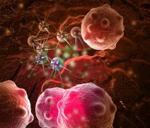 最新癌症报告：每5个人中就有1个人将患癌！预防刻不容缓！