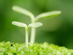 警惕 | 这个病是“癌症加速器”，春季要加倍注意！